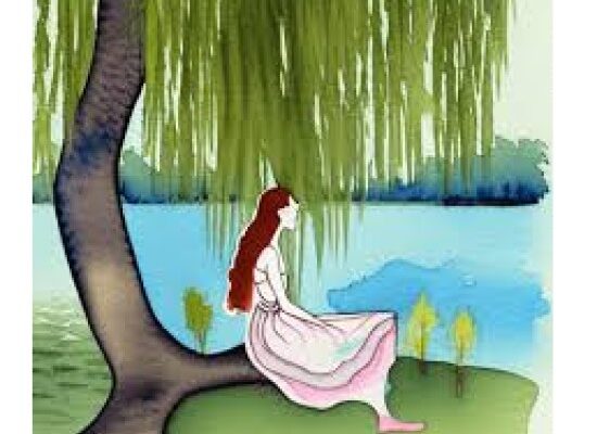 weeping willow