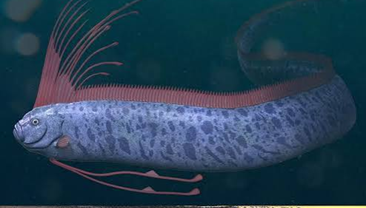 Can the Oarfish Predict Earthquakes and Tsunamis?